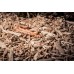 Serpiente del Maizal -  Anery albina - Pantherophis guttatus